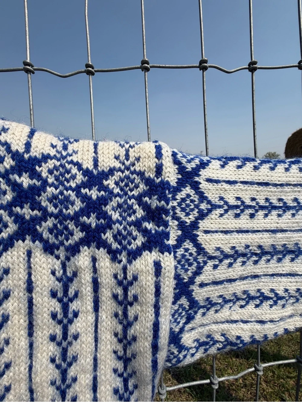 Blue and White Nordic Knit Button-Up Sweater - women’s
